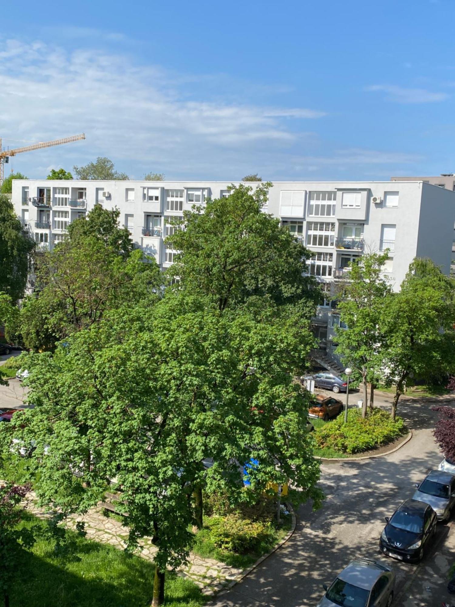 Colorful Urban Oasis Daire Zagreb Dış mekan fotoğraf
